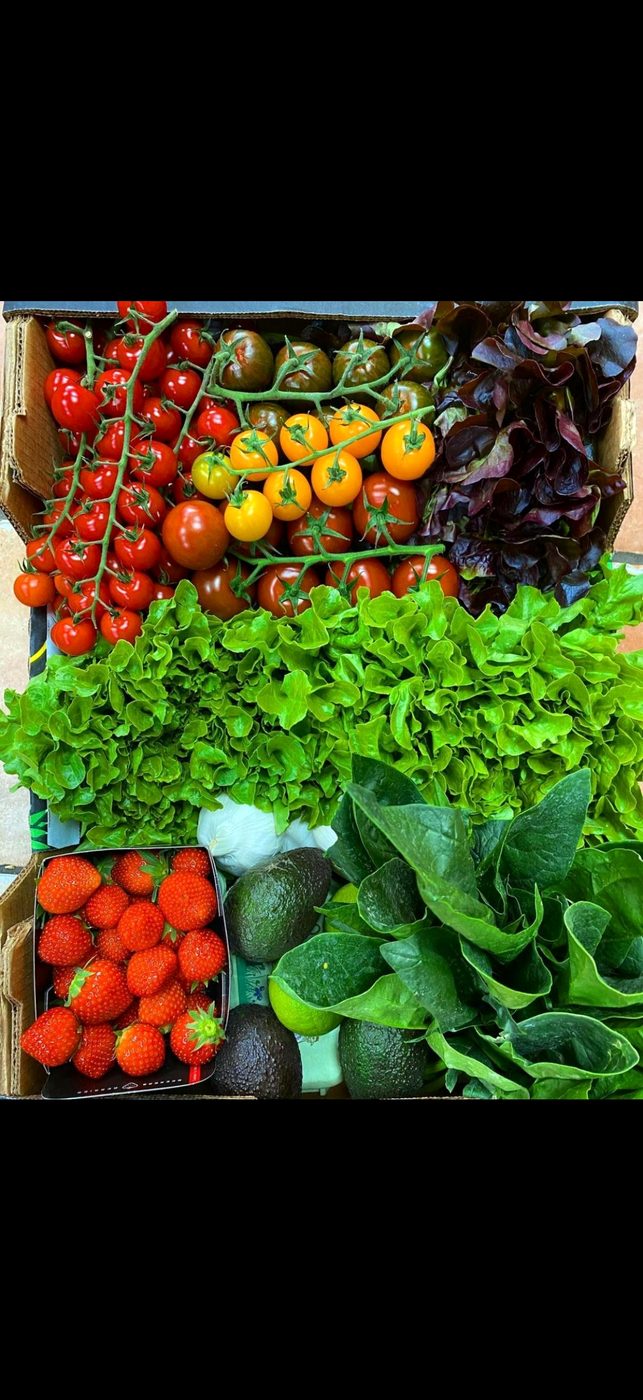 Mixed produce — tomatoes, lettuces, strawberries, avocados