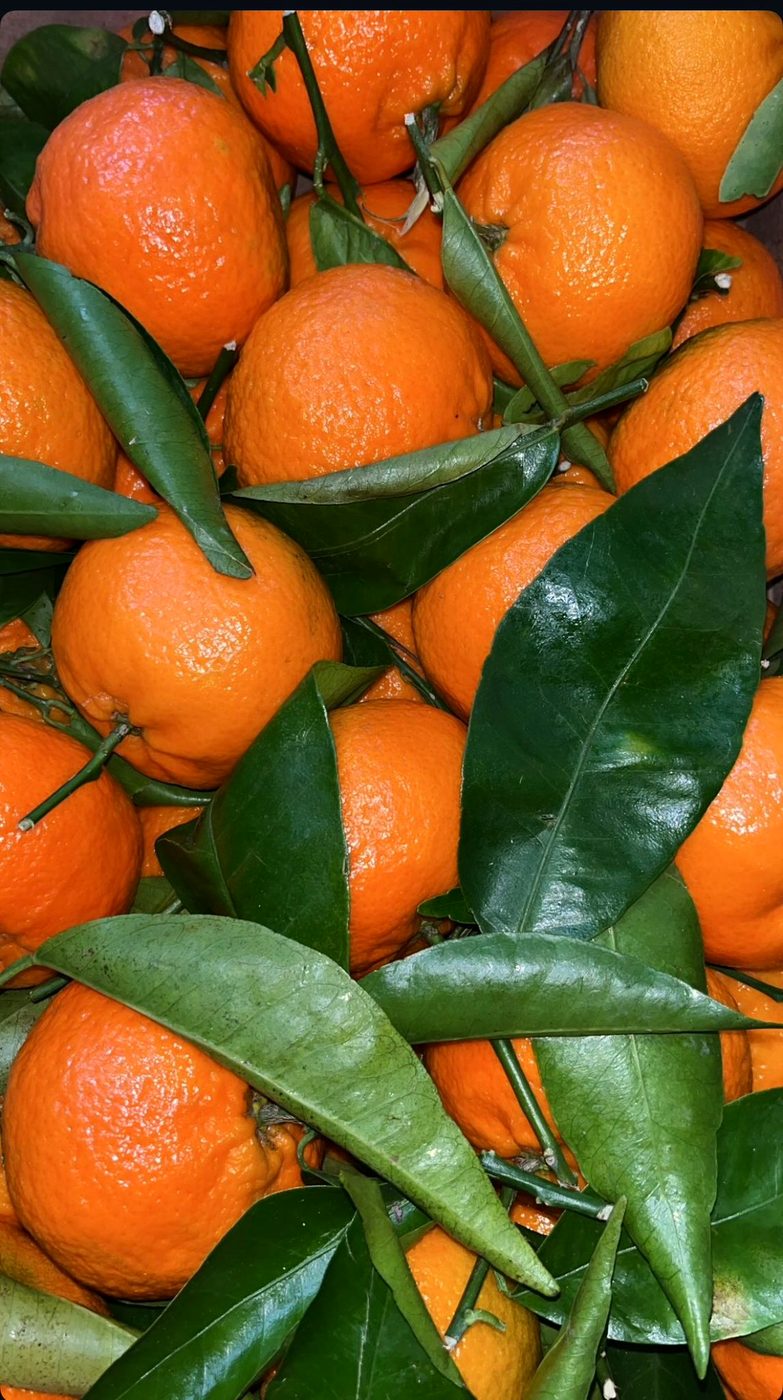 Oranges with leaves